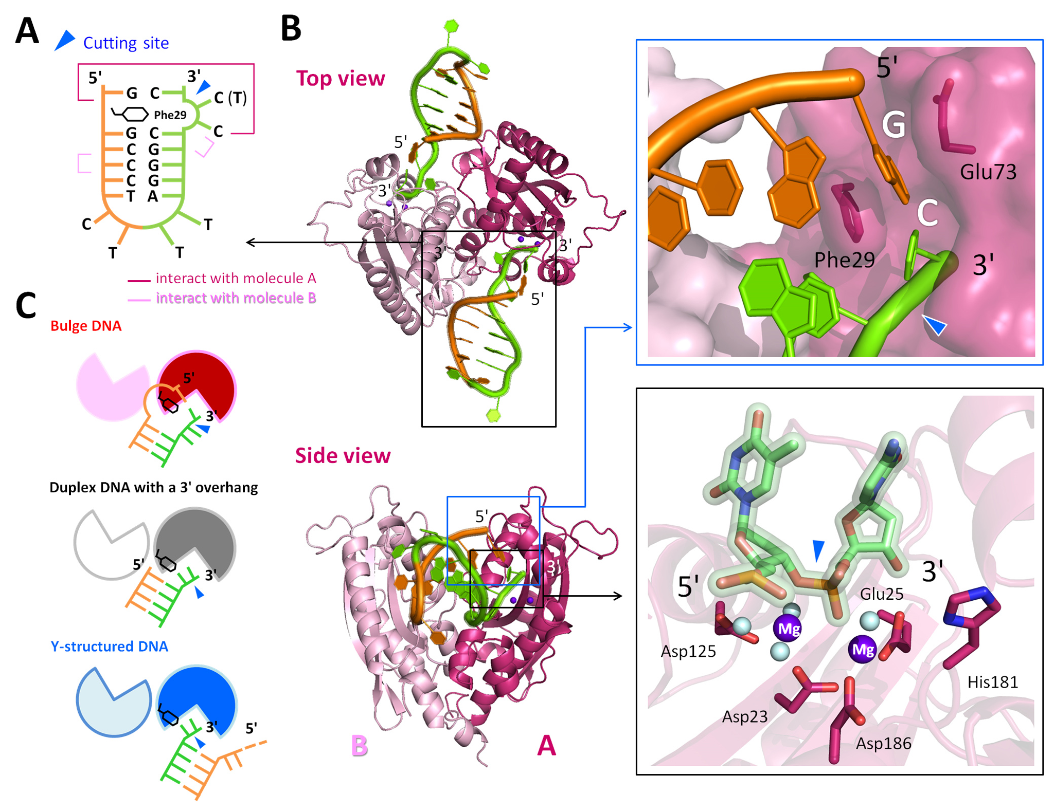 PLoSBiology_2014