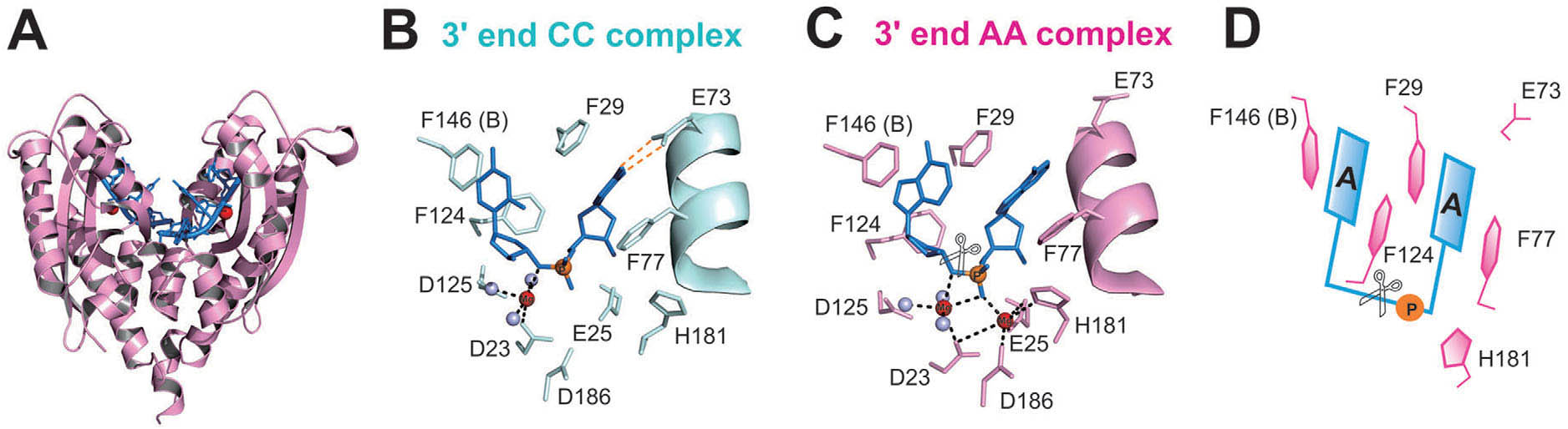 ProteinScience_2015